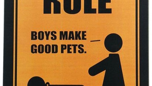Chicks rule boys make good pets funny metal tin poster sign plaque